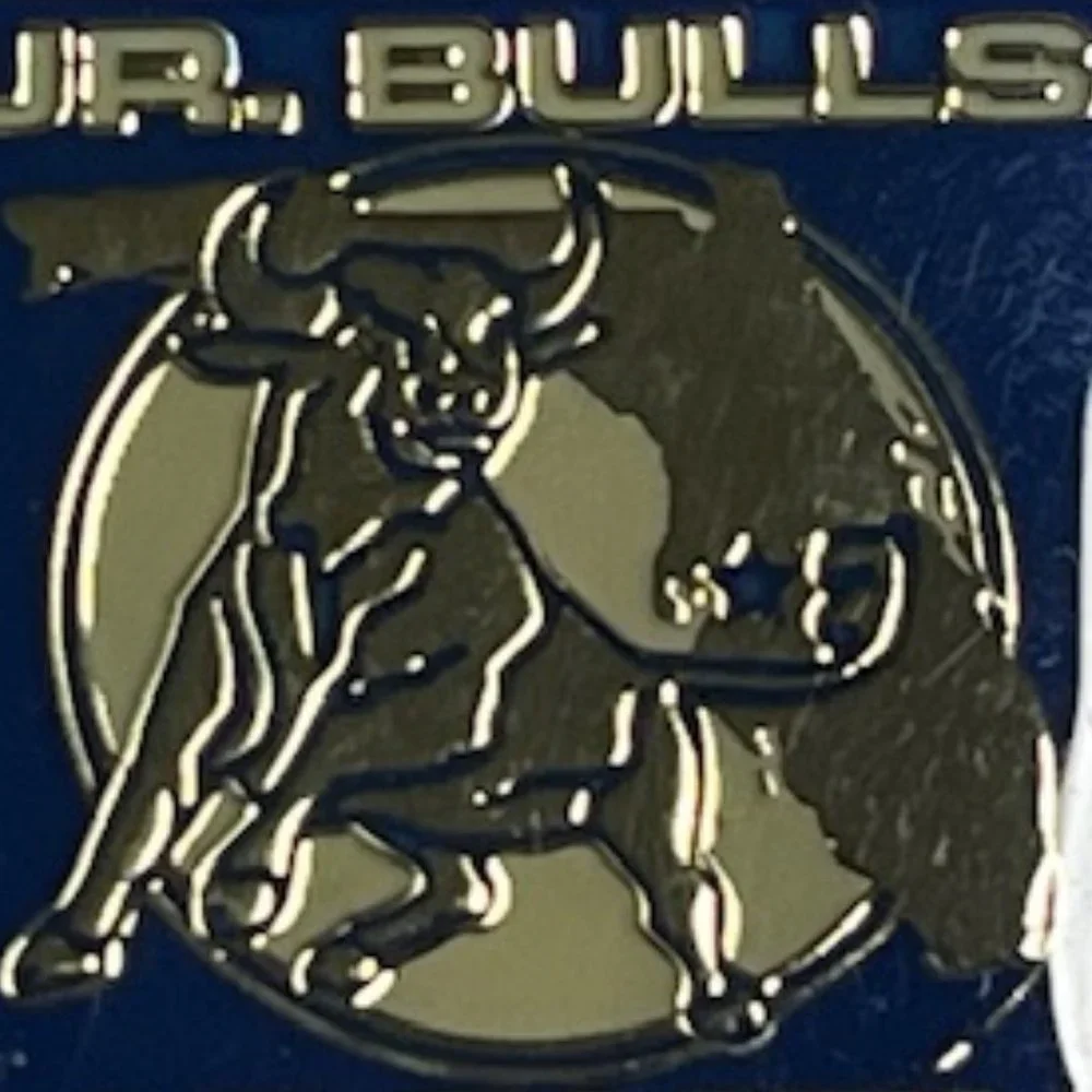 Jr. Bulls Youth Hockey Tampa, Florida Lapel Hat Pin 1